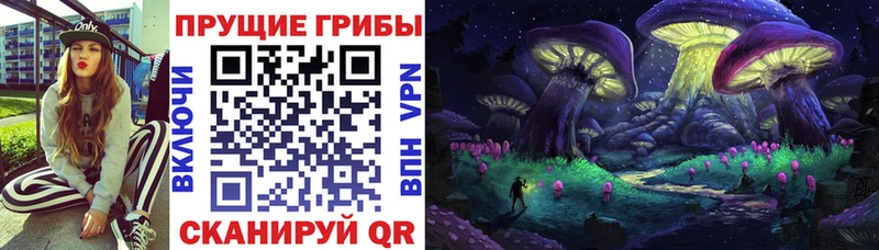 Псилоцибиновые грибы Cubensis  Дигора 